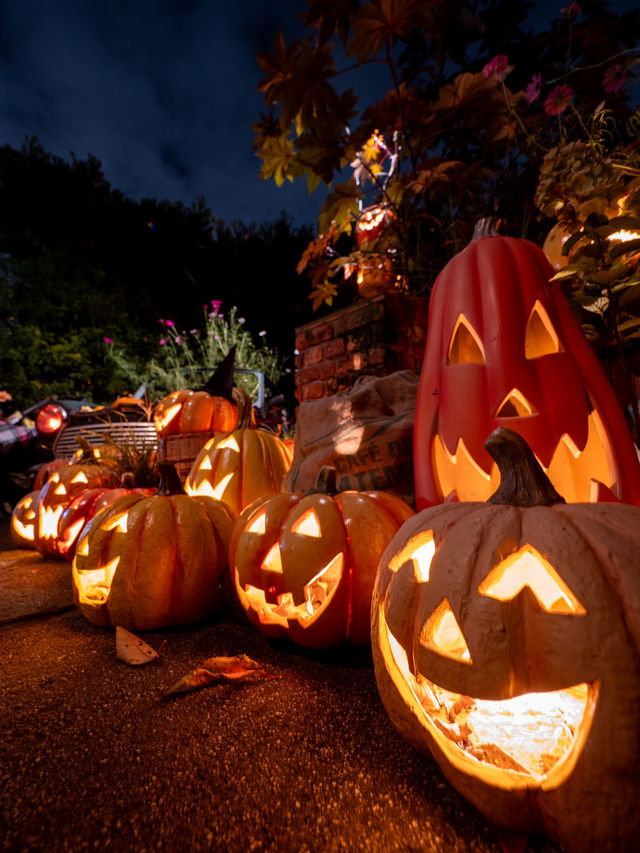 【3日間限定！✨】幻想的でアートなハロウィン・ナイトを横浜で楽しめる！🎃☠️