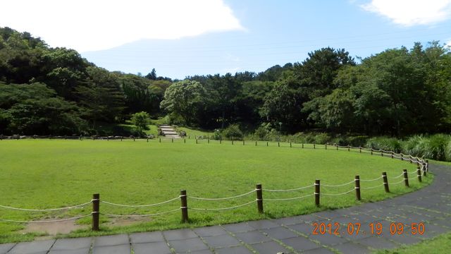 濟州市丨漢拿樹木園