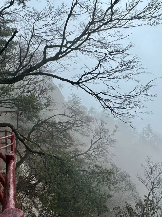 2日欒川之旅 告別前的行程分享。