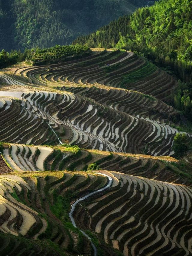 桂林冬日遊3天 美景暖你心。