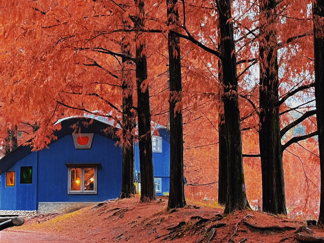 Experience Autumn in a Fairytale