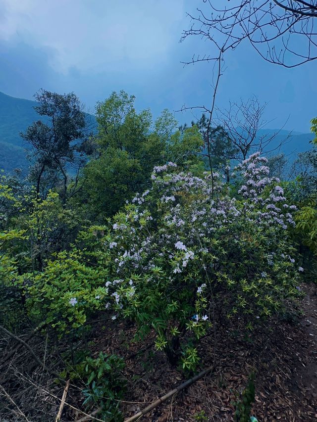 一起來老友們的江西南昌-廬山-景德鎮旅行新玩法