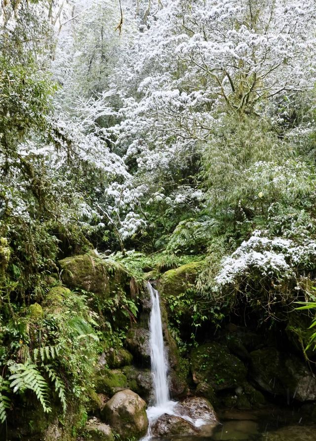 都江堰青城山2024年初雪