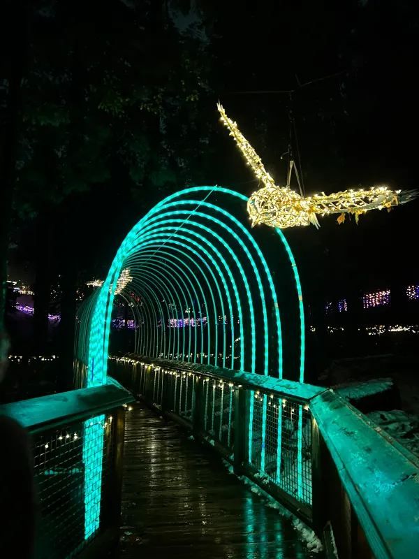 Visit Capilano Suspension Bridge Park's Light Show Before It Ends