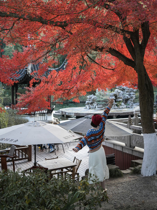 不擠蘇州園林，周邊人少景美賞秋拍照一日遊