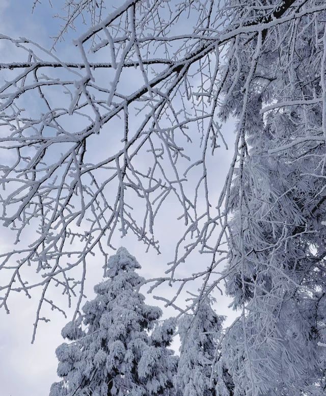 商量崗滑雪場攻略