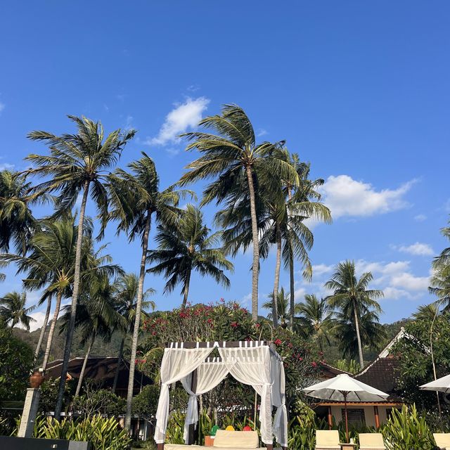 Beach Club with FREE Daybeds in senggigi