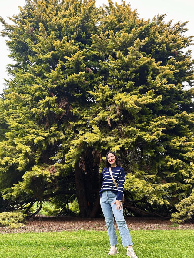 Admiring Colourful Flowers at Botanic Garden