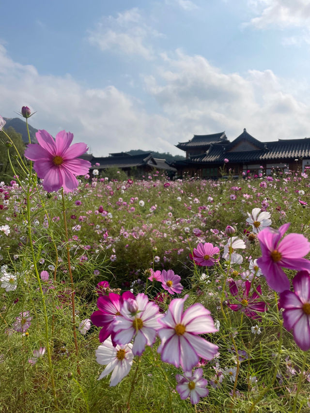 은평 한옥 마을 산책길