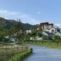 Mystical morning at Banyan Tree Huangshan 