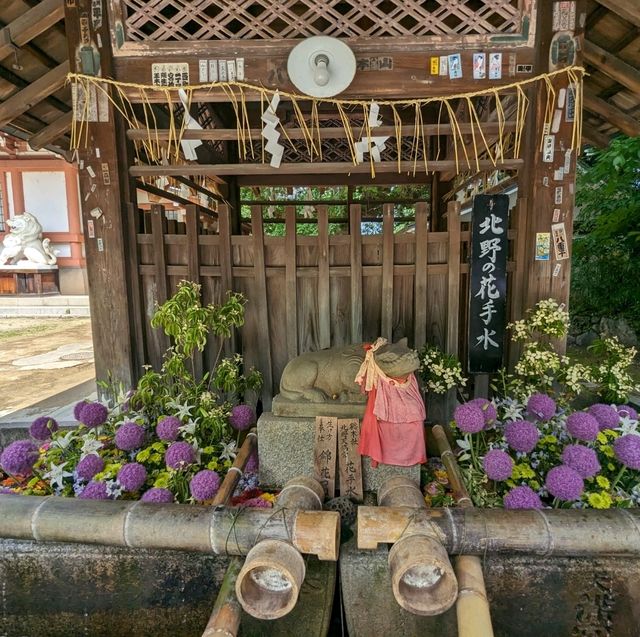 日本京都-來祈求學業之神的庇佑：北野天滿宮