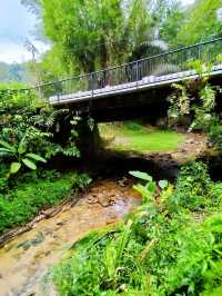 Exploring the Penang Hill Biosphere Reserve