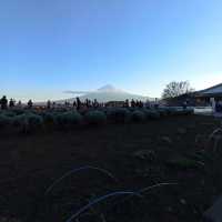 Hidden Gems Around Mount Fuji: A Journey of Discovery