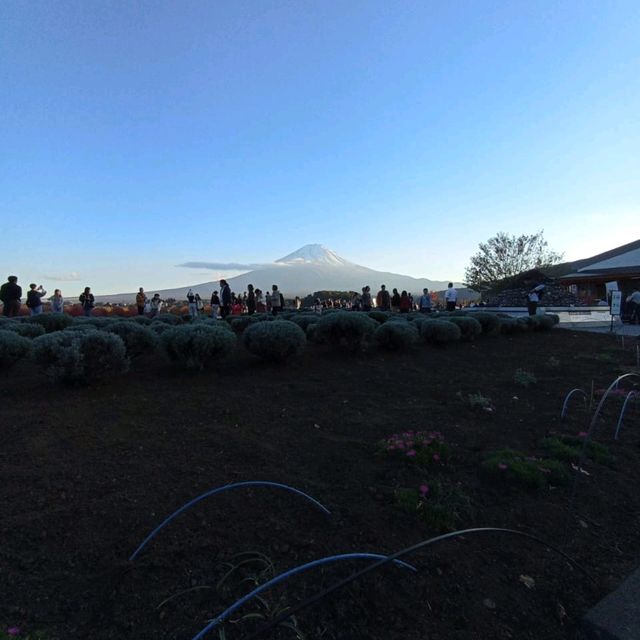 Hidden Gems Around Mount Fuji: A Journey of Discovery