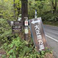 รีวิวการเดินทางไป Kamikochi แบบละเอียดมากๆๆ