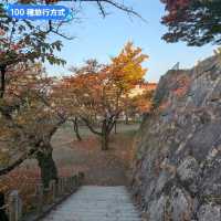 金黃漫紅，日本東北賞銀杏景點分享