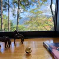 Koyasan UNESCO World  Heritage temple lodging