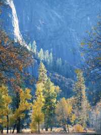 Trail Mix and Epic Views: Strolling Through Yosemite