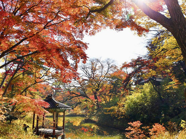 首爾昌德宮欣賞紅葉之旅🍁🍂