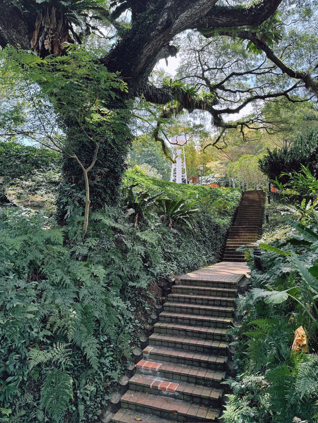 Fort Canning Park เสน่ห์ประวัติศาสตร์กลางใจเมือง