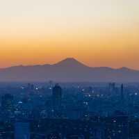 【東京】麻布台ヒルズからの絶景