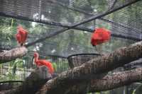 看看動物可愛樣，找找童年的記憶~~上海動物園。