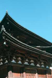 京都西本願寺｜淨土真宗本願寺派總本山。