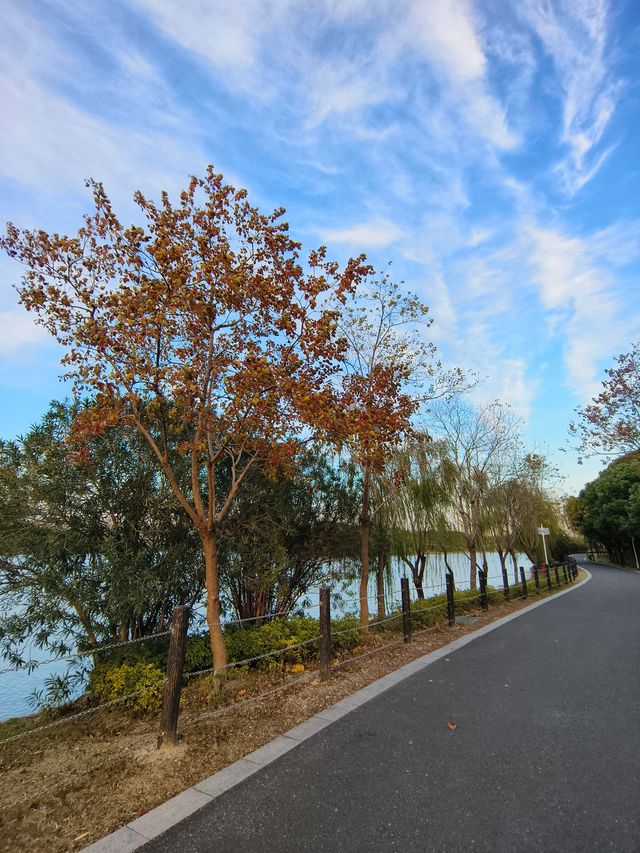 0元打卡蘇州小眾絕美公園秋景。