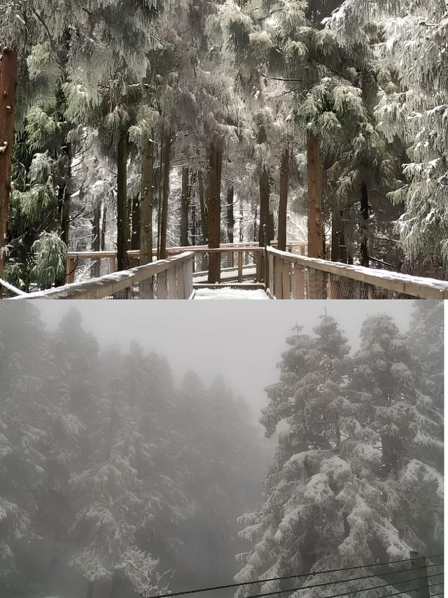 重慶！仙女山！雪景私湯小院！