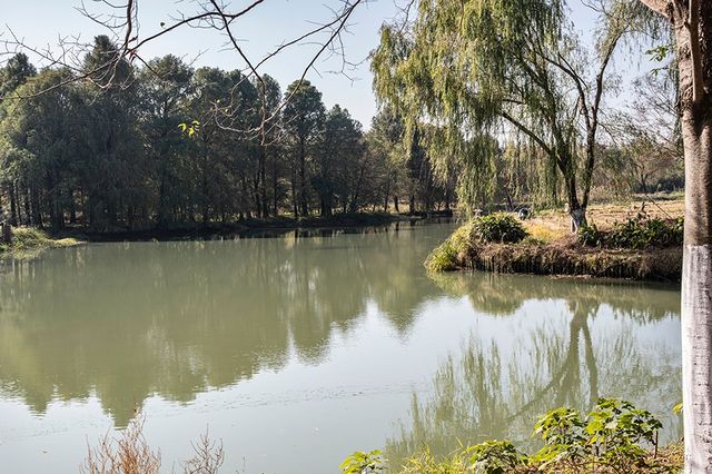 青西郊野公園