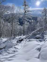 哈爾濱-雪鄉滑雪新手也能變高手的秘訣在此