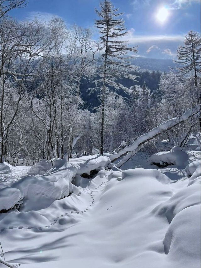 哈爾濱-雪鄉滑雪新手也能變高手的秘訣在此