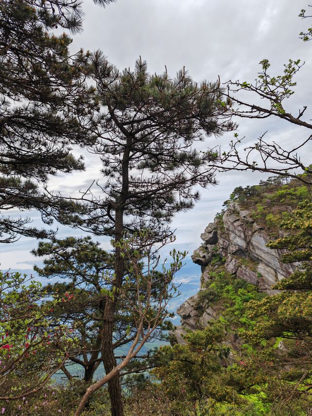 來廬山打卡景點