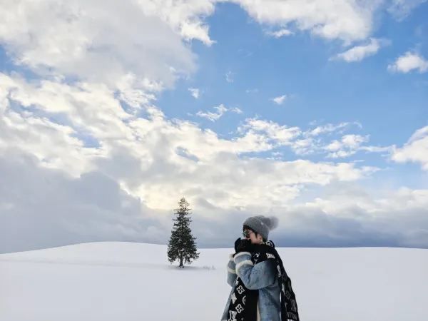 北海道美瑛－富良野一日遊的奇妙旅程