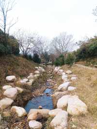 蘇州第五十八園