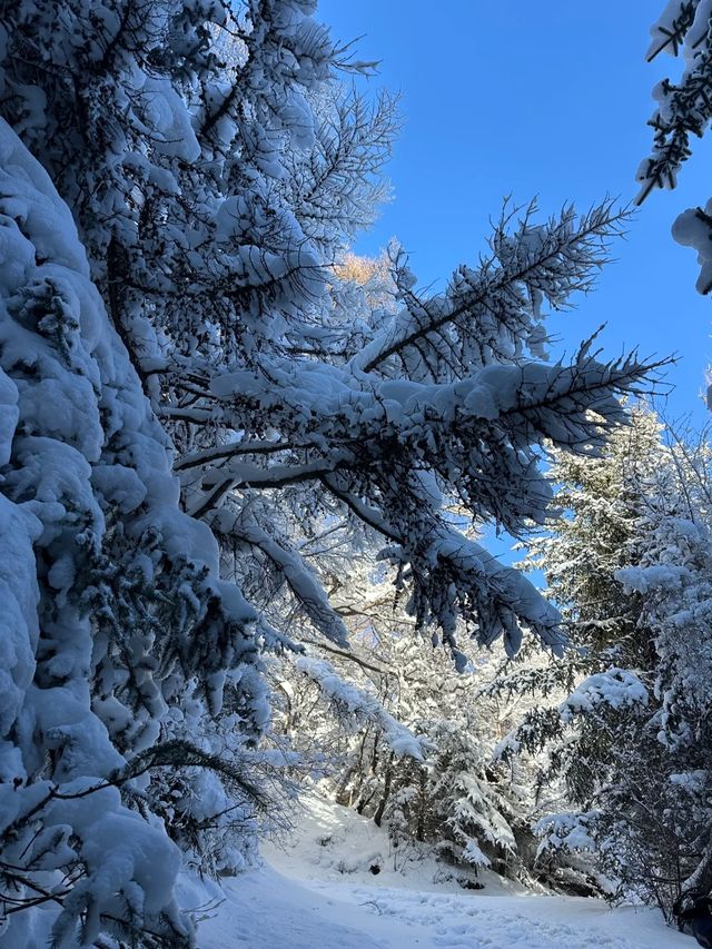 最美山西夢幻雪山管涔山：山西的阿勒泰