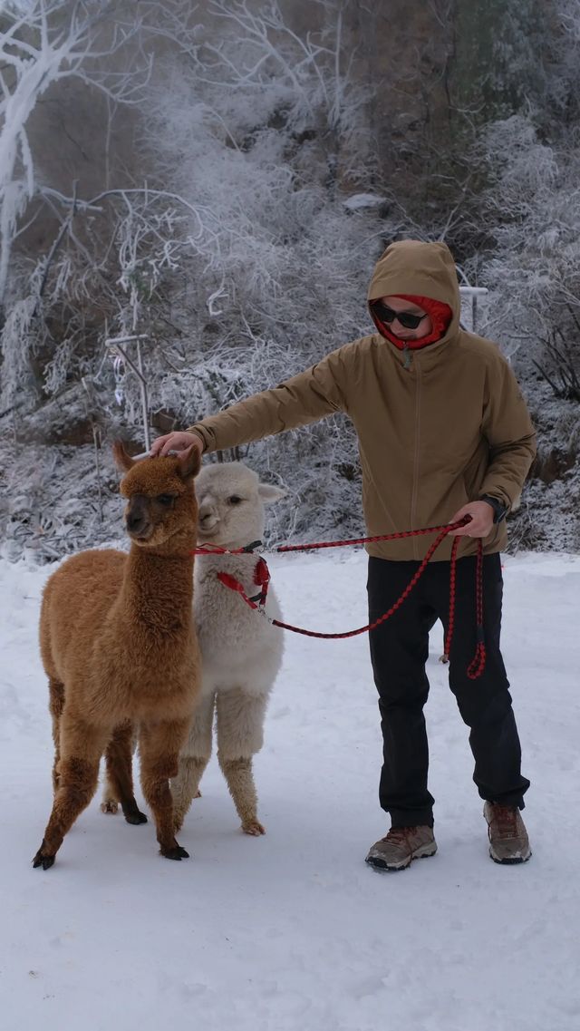 攤牌了｜我願稱為鄭州冬天超小眾玩雪聖地