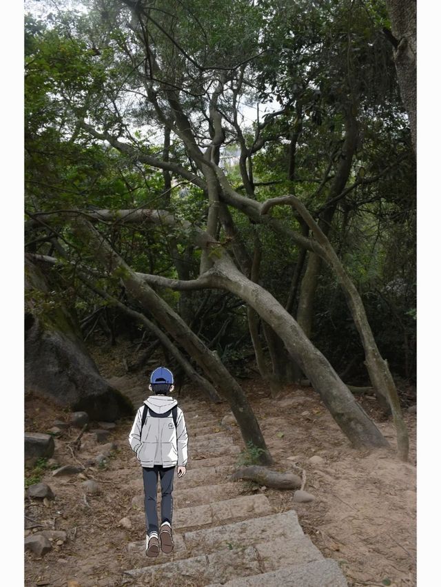 今年廈門行山最多次的戶外路線！明年還來～