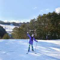 여기 알프스 아니야? 평창 알펜시아 리조트⛷️