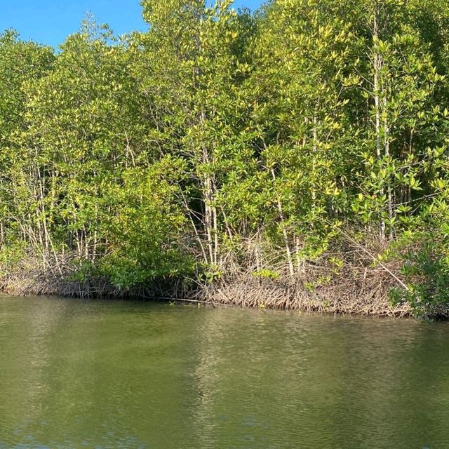 Kawa-Kawa River Cruise! 