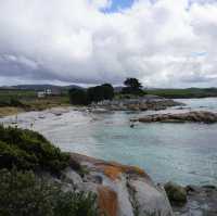 Wild Tasmania: A Journey of Untamed Beauty 