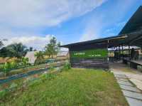 A Sunday vacation relaxation at Loveuu Tea Farm, Balik Pulau