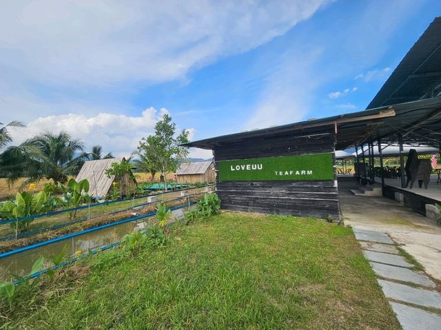 A Sunday vacation relaxation at Loveuu Tea Farm, Balik Pulau