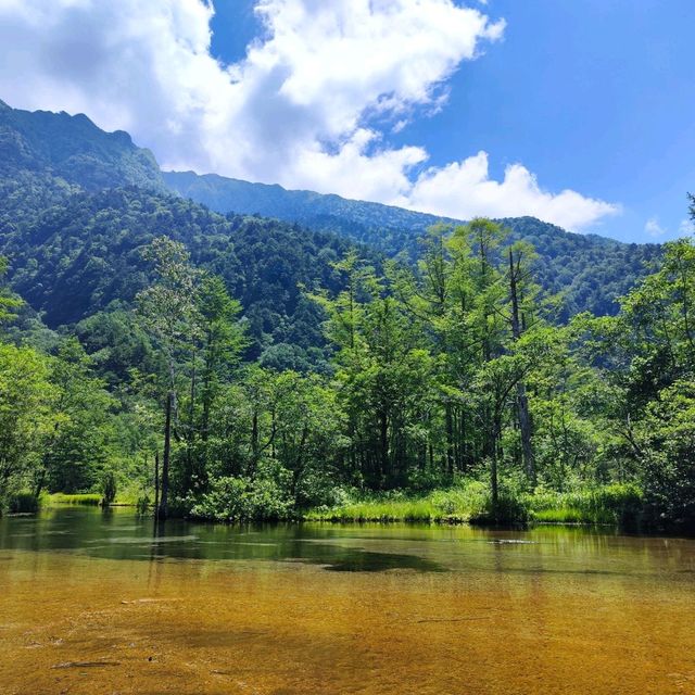 Kamikochi in Summer!