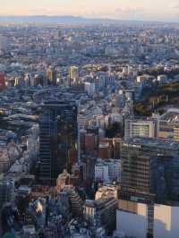 A Perfect Day in Tokyo: Exploring, Eating & Enchanting Views 🗼🇯🇵  