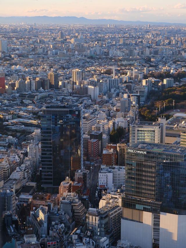 A Perfect Day in Tokyo: Exploring, Eating & Enchanting Views 🗼🇯🇵  