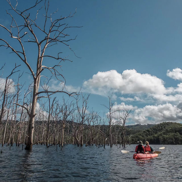 Kayaking at Hinze Dam