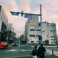 Mastsumoto Castle 