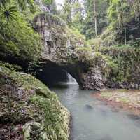 Marvel at the Natural Bridge in Springbrook National Park