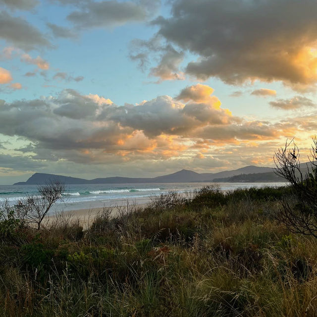 Bruny Island: Tasmania’s Coastal Paradise